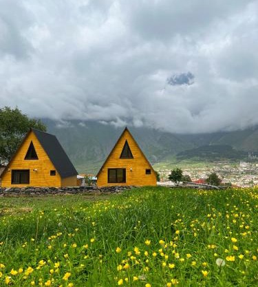 Pine Chalet Kazbegi