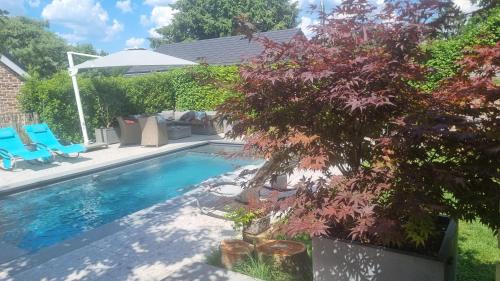 PINE COTTAGE- 5 minutes Francorchamps - charme -piscine-calme-jardin