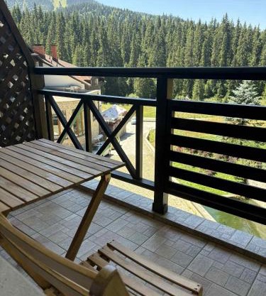 Pine forest apartments