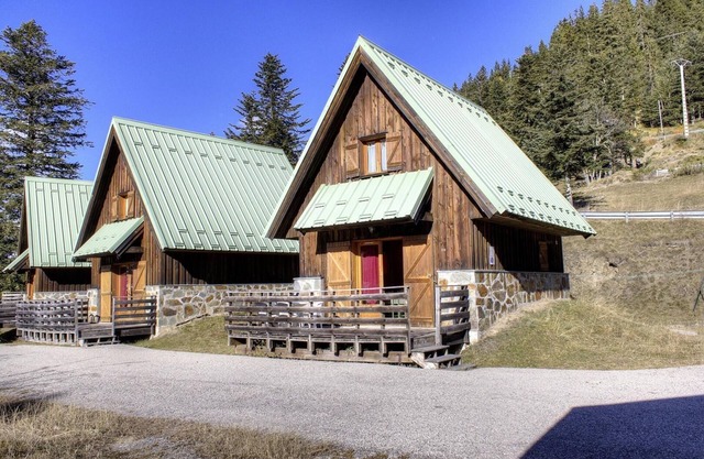 Pine tree - LA BOLLENE-VESUBIE