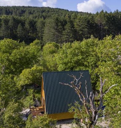 Pinehouse Urtkhva in Surami
