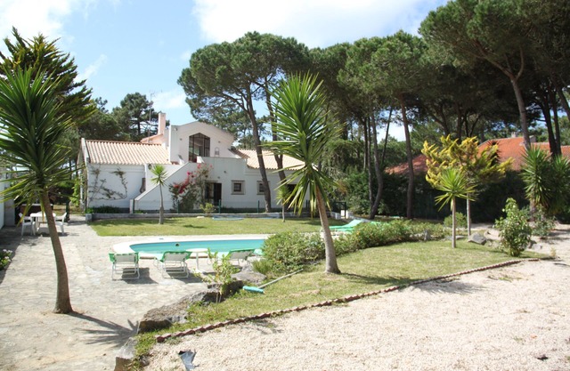PINEWOOD IN A NEAR THE SEA