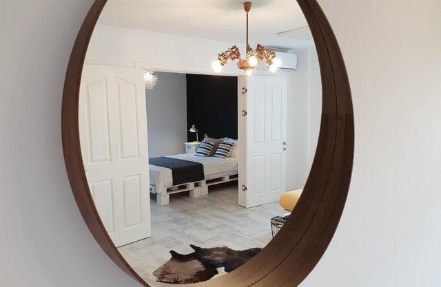 Plata numerar Norsk Skogkatt Galati - Big Tv DISNEYplus TV!