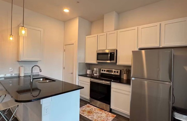 Pleasant apartment in Austin