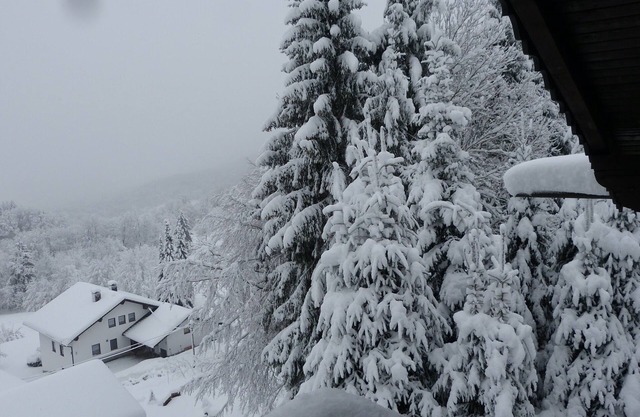 Pleasant Apartment in Zenting with Garden