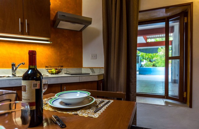 Plunge pool view! studio w/Netflix, wine cooler, etc. .9 mi. from central sq.