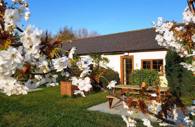 Pretty holiday cottage at Hawthorn Farm with lovely views of the donkey paddocks