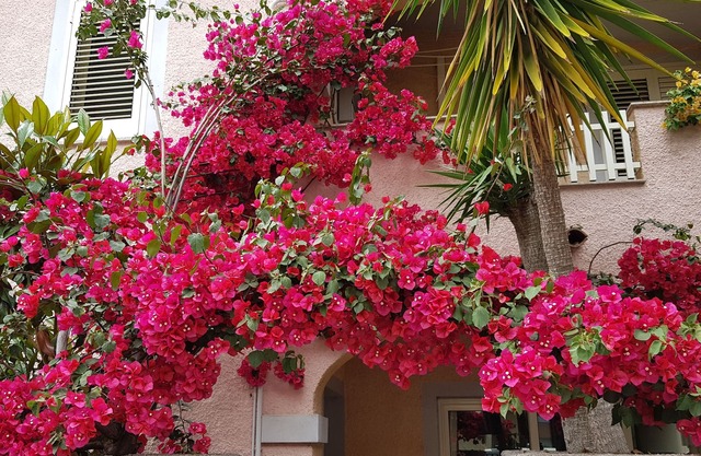 Pretty house with garden to 10 minutes from the beautiful beaches of the Costa.