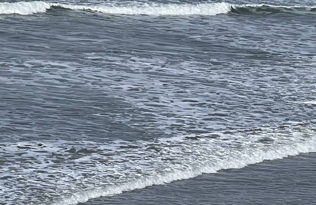 Private ocean view cottage in Nye Beach area of NEWPORT