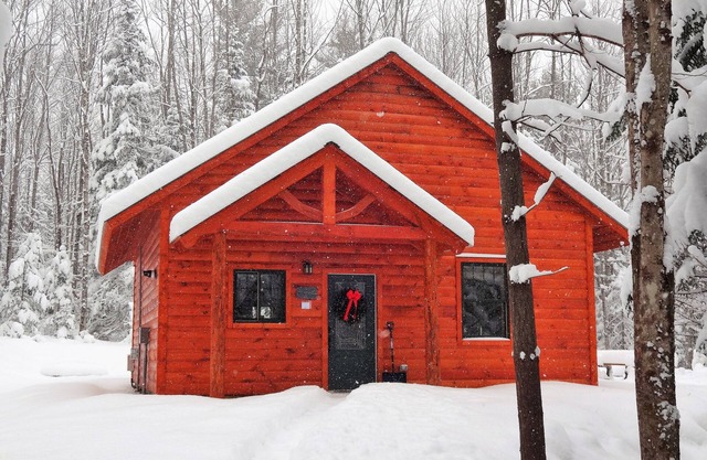 Private pet-friendly cabin in the woods w/private campfire pit & screened porch