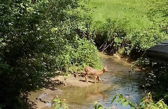 Privatpension Die Mühle