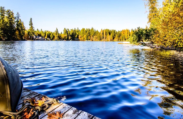 Profitable Lakefront home for sale - not currently renting