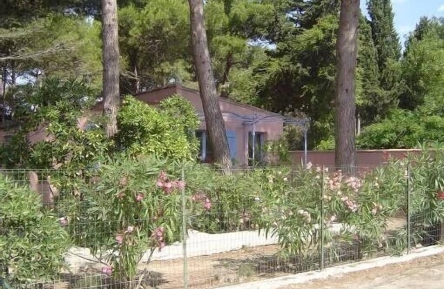 PROMO! The franqui cottage under the pines in charming village
