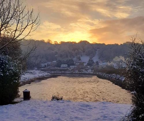 Quaint little guest suite with private parking