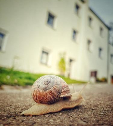 Quartier Apartment - alte Steigerbaude