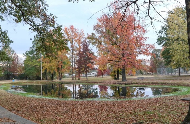 Quiet, 4-bed home with a park view.