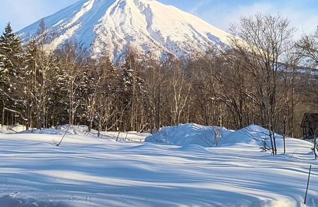 Quiet Forest Retreat with Mt. Yotei Views - 10 min to Hirafu ski resort