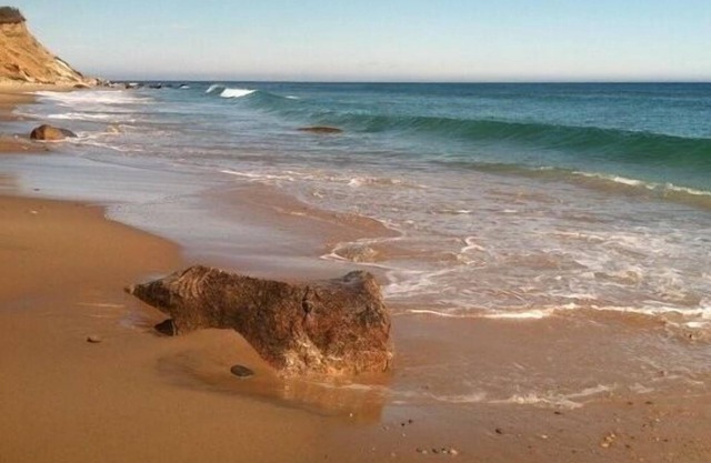 Quiet Walk To The Beach