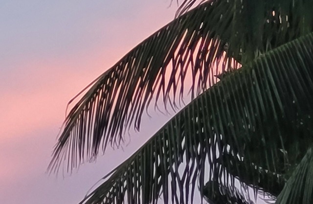 Quintessential Keysie ADORABLE 2-bedroom house w/AC in Key West-1 Month Min Stay
