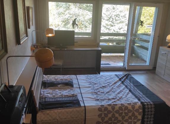 Résidence le Faucon - Col du Donon