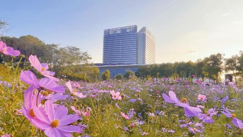Radisson Collection Lingang Shanghai