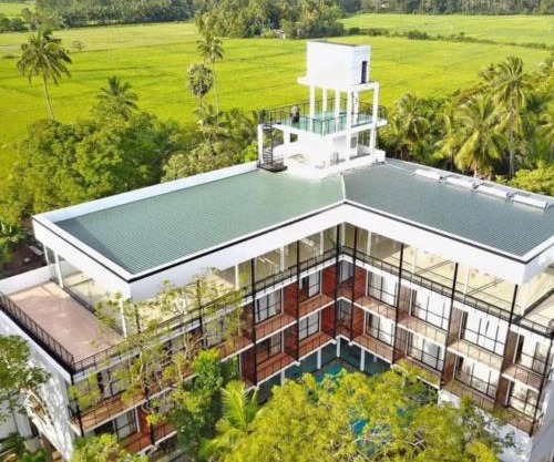 Rain Tree by Oak Ray