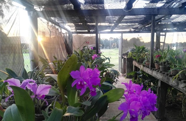 Rancho Seibert