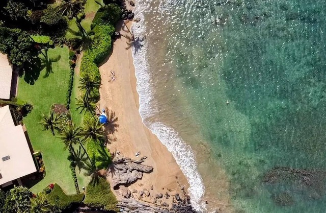 Rare Find! Ocean and Beach Front Cottage!