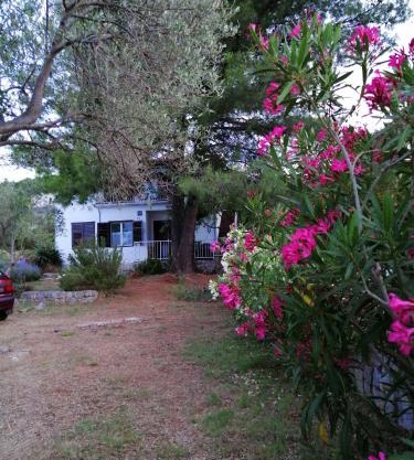 Raslina Sun Apartment