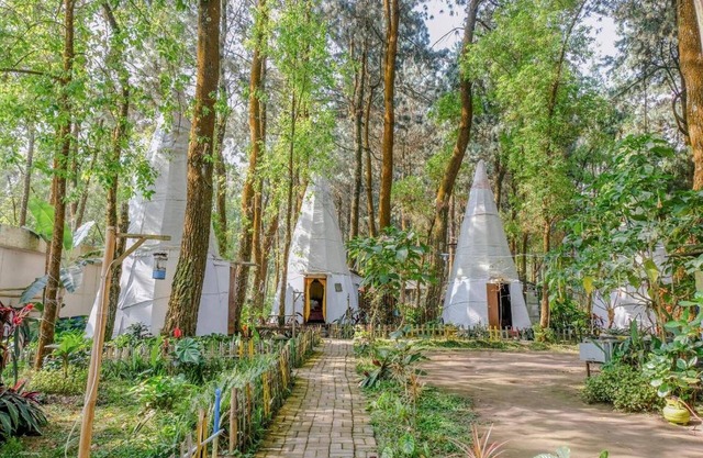 RedDoorz @ Apache Camp