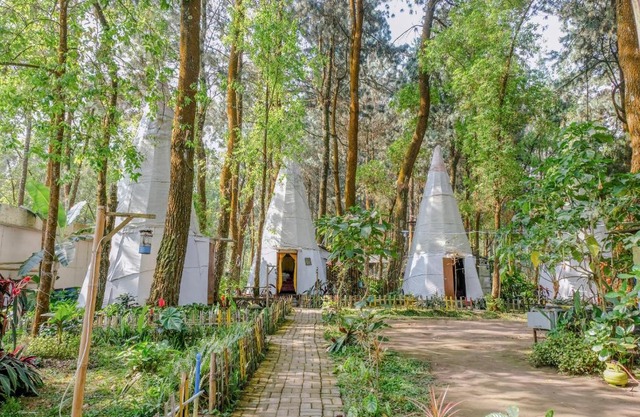 RedDoorz @ Apache Camp