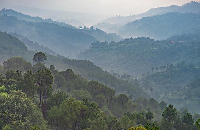 RedhomeX THE CENTURION