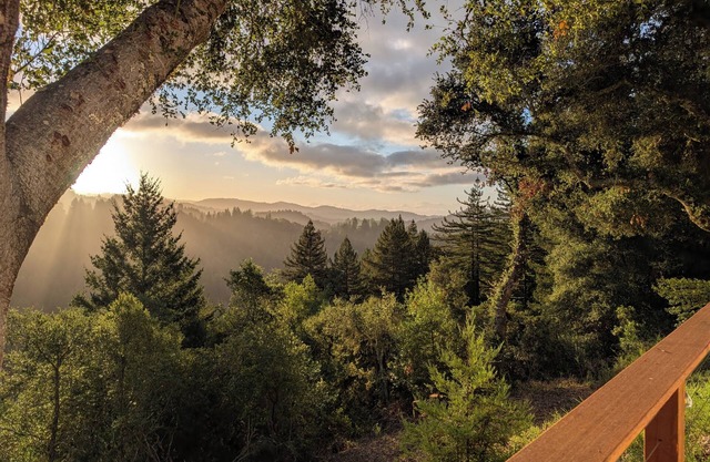 Redwood Haven: Your Santa Cruz Mountains Gateway