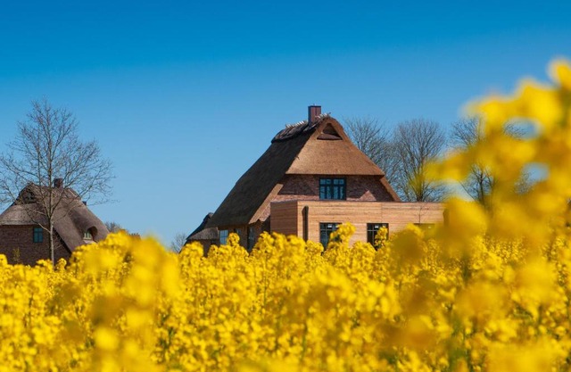 Reetdorf Geltinger Birk Atelierhaus Steilküste