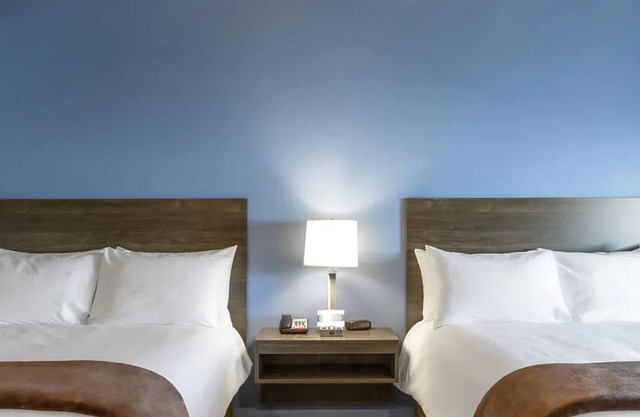 Relax in 2 Spacious Rooms w/Full Kitchen Near Lion Habitat Ranch Inc