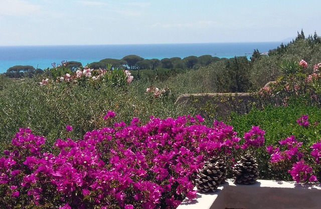 Renovated beach housePalombaggia on foot180° sea view-protected site