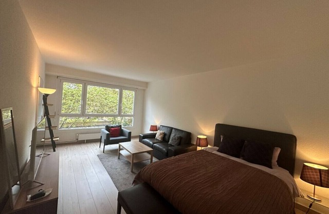 Renovated Suite Geneva City Center