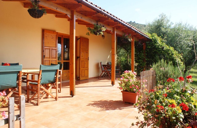 Renovated traditional farmhouse overlooking the sea 400 olive trees.