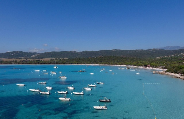 Rent in Porto Vecchio - Baie de Santa Giulia - Sea view 150 m beach