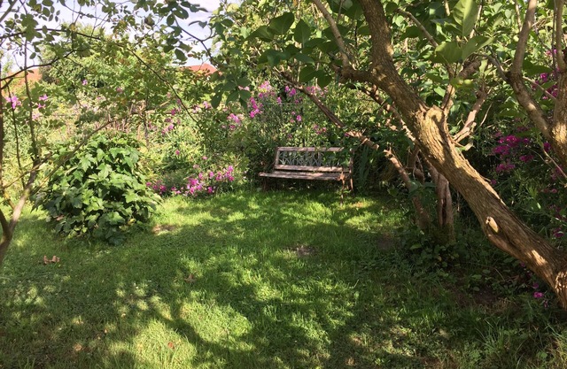 Rental Bear Cave - with its own garden - dogs welcome