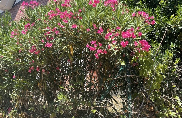 Residencia Bustablado