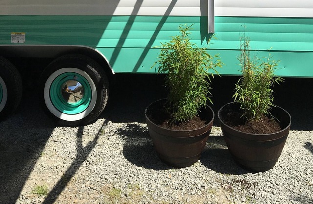 Retro Trailer on the farm