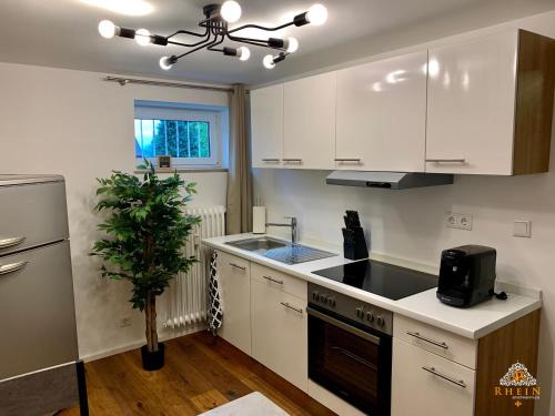 Rhein Apartment Souterrain Study