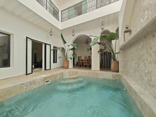 Riad White Cactus