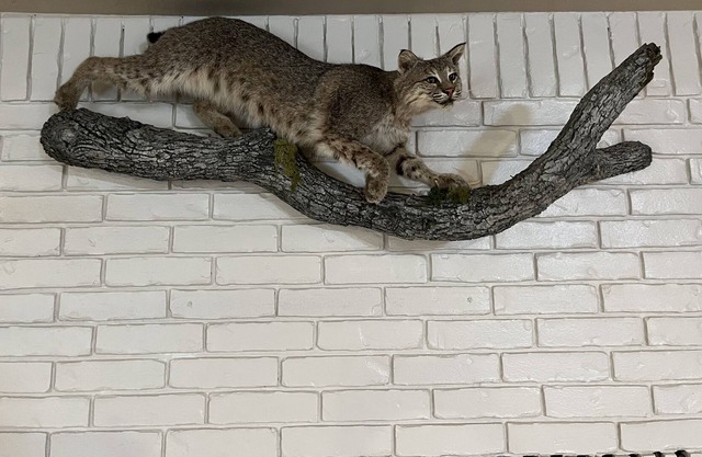 River Chase "Bob's Place"