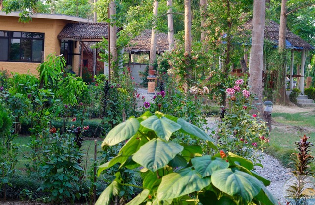River View Jungle Camp