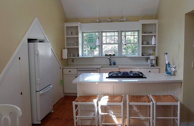 Romantic 1-Bdrm on Lake Dunmore, Views, Linens, Beach, Marina, Pub, Sleeps 4