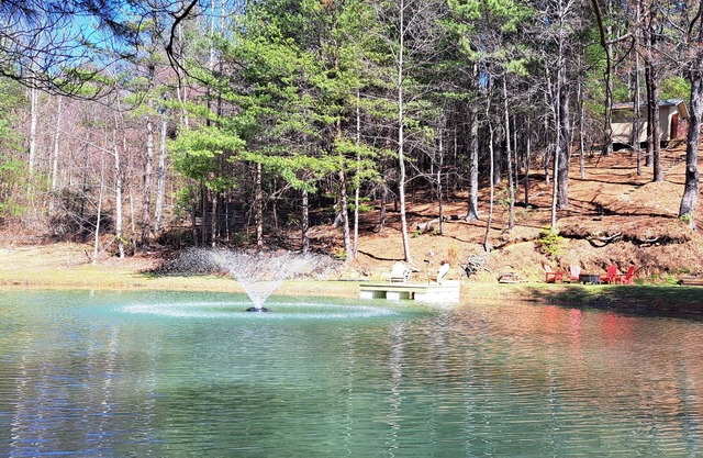 Romantic Getaway w/Mtn views, private pond, 10 acres, surrounded by woods. New!