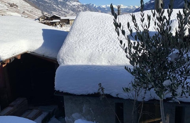 Romantic Mazot in the vineyards