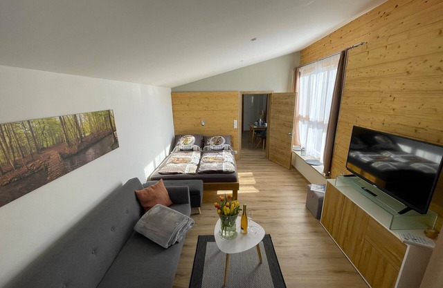 Römer apartment with sunny terrace, 40 sqm, bed-sitting room